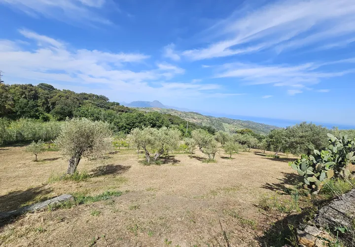 Terra a Collesano, Palermo, Collesano - € 16.000 | Ref: 10638 - foto 1